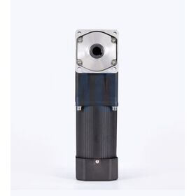 Sunmotion 104 Type 250W AC Motor