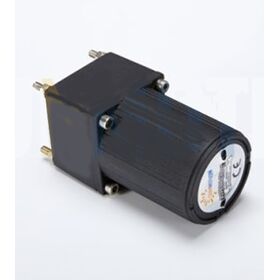 Sunmotion 60 Type 6W AC Motor