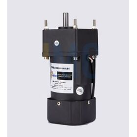 Sunmotion 80 Type 40W AC Motor