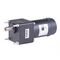 Sunmotion SDC2-030-12B 60 Tip 30W DC Motor